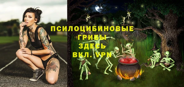 МДПВ Аркадак