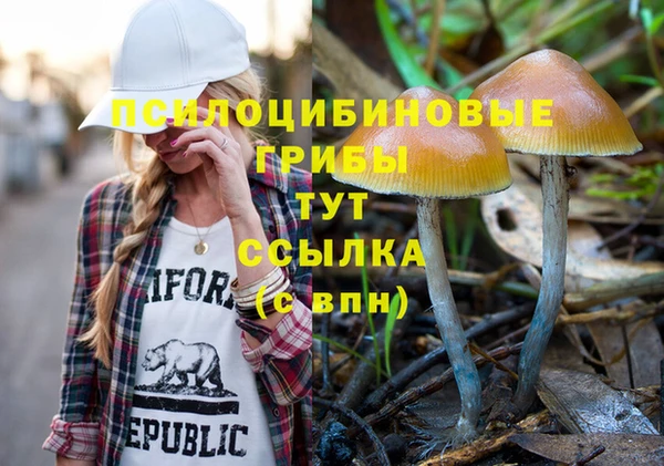 МДПВ Аркадак