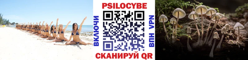 Псилоцибиновые грибы мицелий  Новотроицк 