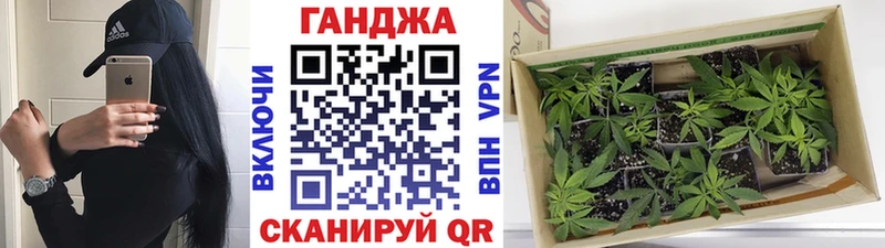 Канабис OG Kush  Новотроицк 